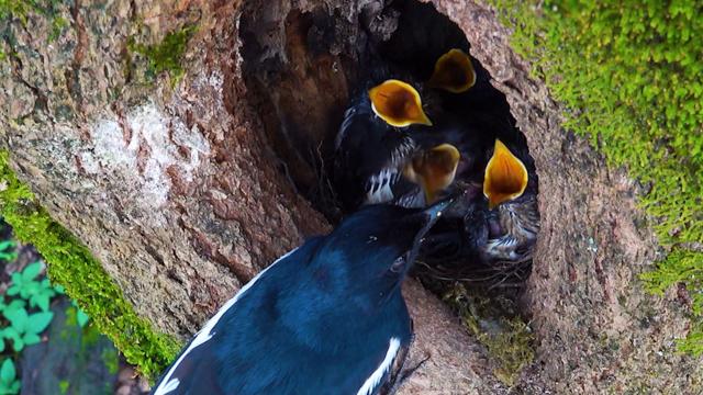 瑰寶：文化自然遺產在福建 第10集劇照 2