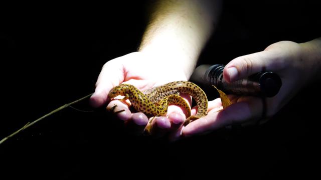 瑰寶：文化自然遺產在福建 第10集劇照 4