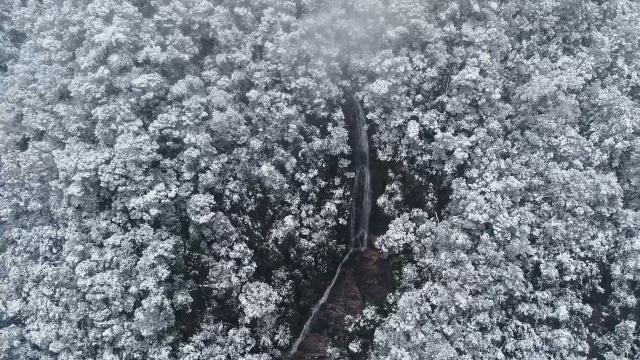 武夷山．我們的國家公園