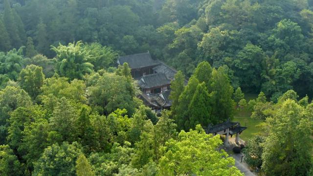 武夷山．我們的國家公園 線上看