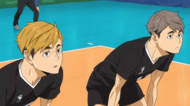 排球少年TO THE TOP 線上看