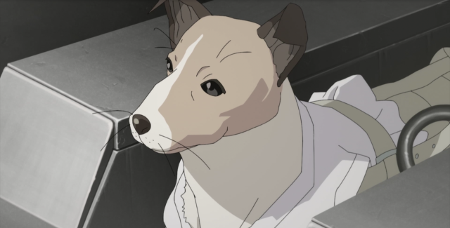 月與萊卡與吸血公主 第1集