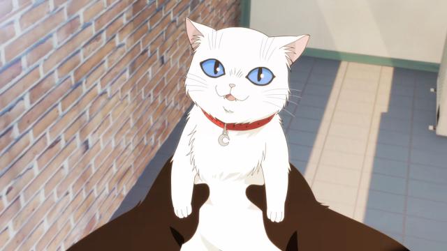 能幹貓今天也憂鬱 第9集