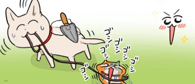 暴走哈姆醬 線上看