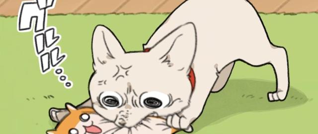 暴走哈姆醬 線上看