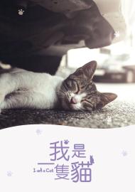 我是一隻貓