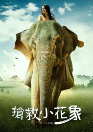 搶救小花象