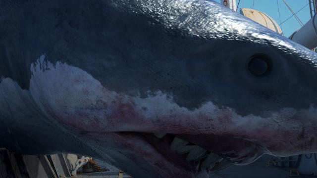 史前巨鯊:鯊無赦劇照 2