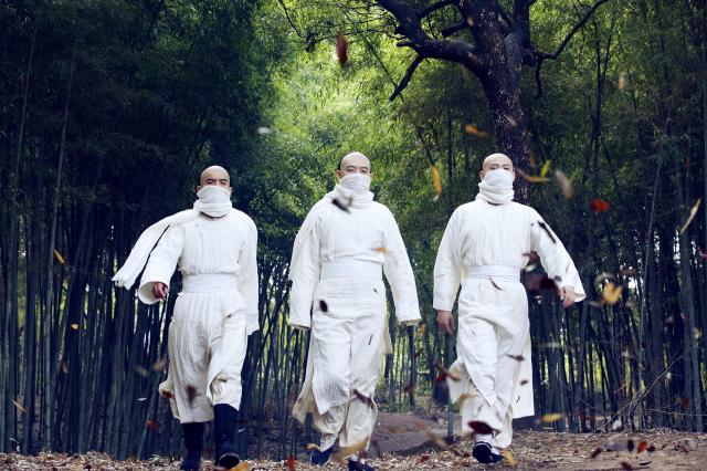 方世玉之人在江湖劇照 3