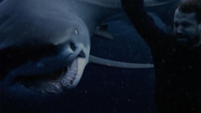 碧海血鯊劇照 2