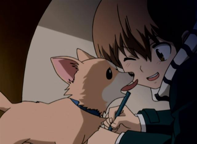 家庭教師HITMAN REBORN! 線上看