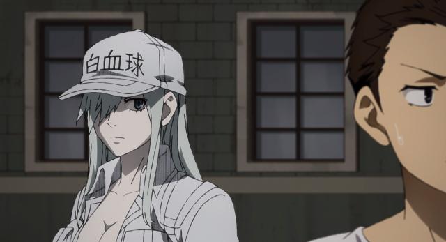 工作細胞BLACK 第11集