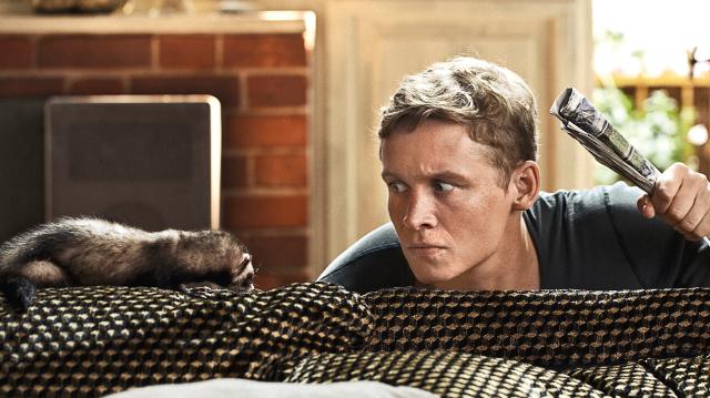 奶爸難當預告片 01