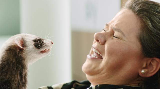 奶爸難當劇照 3