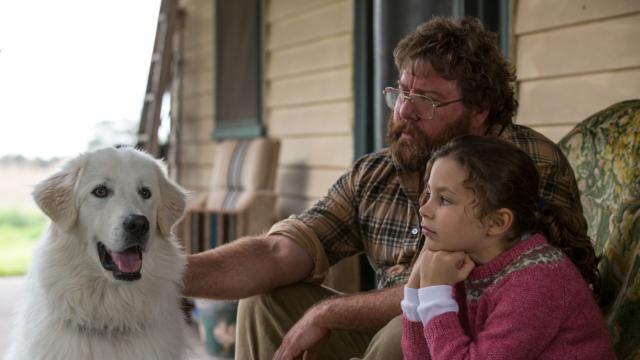 靈犬出任務預告片 01