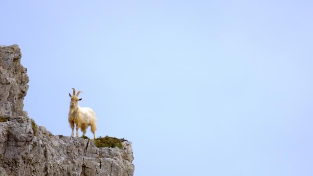 遺落國度 第二季劇照 3