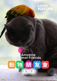 動物朋友會 第一季
