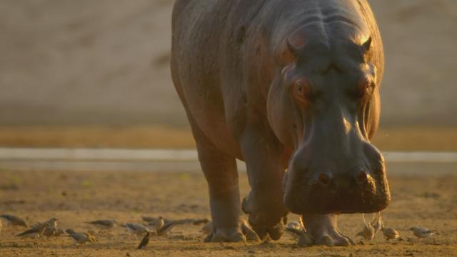 生命之旅 第1集