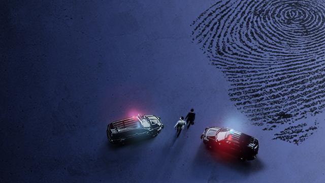 黃金48小時 第二十五季