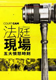 法庭現場：五大憤怒時刻