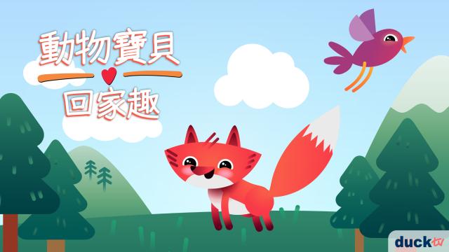 動物寶貝回家趣