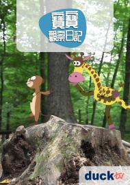 寶寶觀察日記