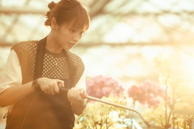 我的婆婆怎麼那麼可愛 第二季 線上看