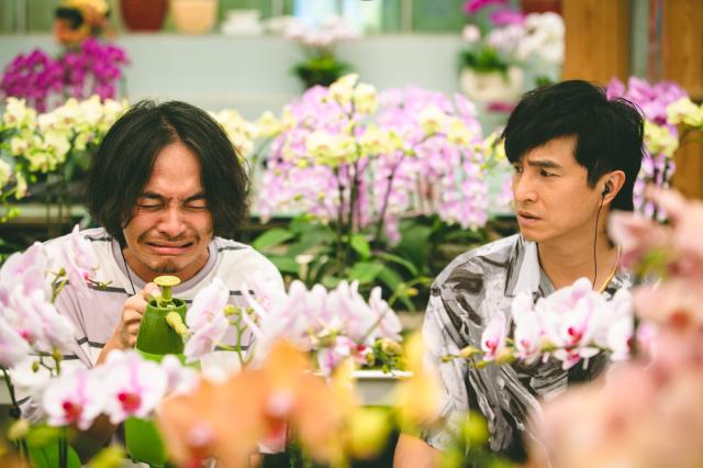 我的婆婆怎麼那麼可愛 第二季 線上看