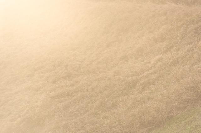 前往海水沖刷的戰地劇照 5