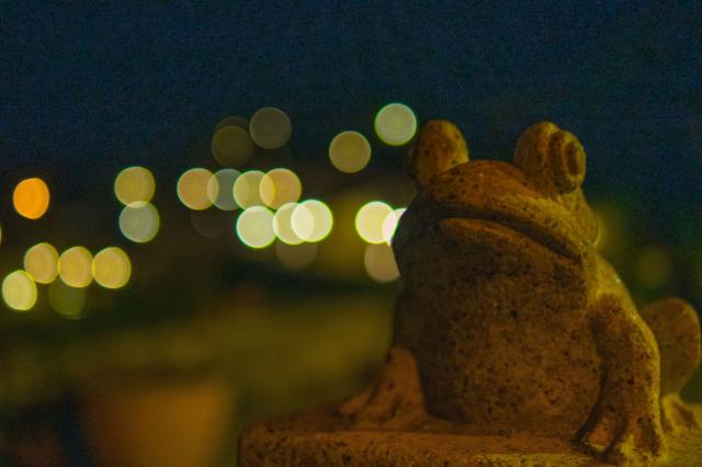 前往海水沖刷的戰地劇照 4