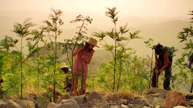 世界之庭劇照 3