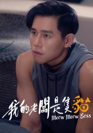 我的老闆是隻貓