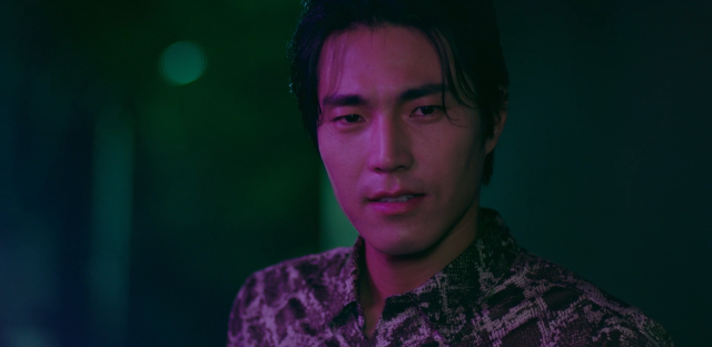 我的老闆是隻貓 線上看