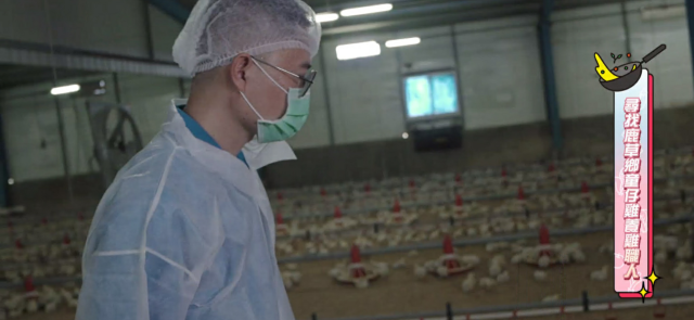 開動吧！漂亮姐姐 線上看