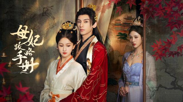 母妃攻略手冊劇照 7