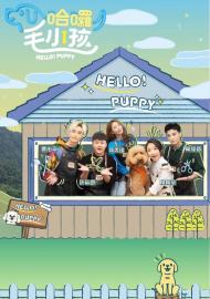 哈囉！毛小孩