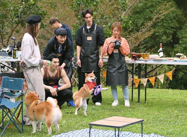 哈囉！毛小孩劇照 28