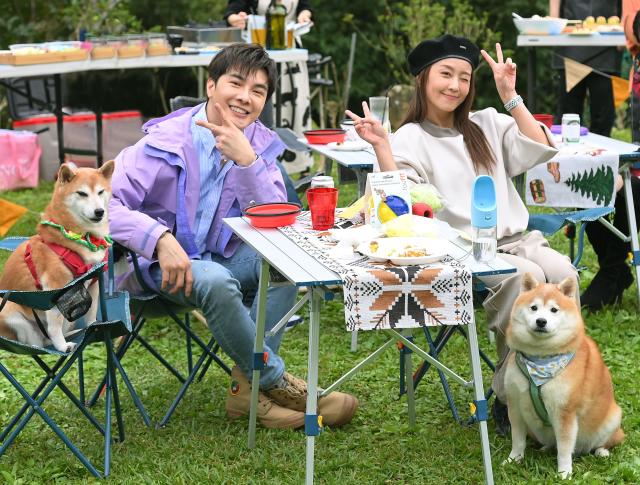 哈囉！毛小孩劇照 15