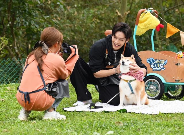 哈囉！毛小孩劇照 14