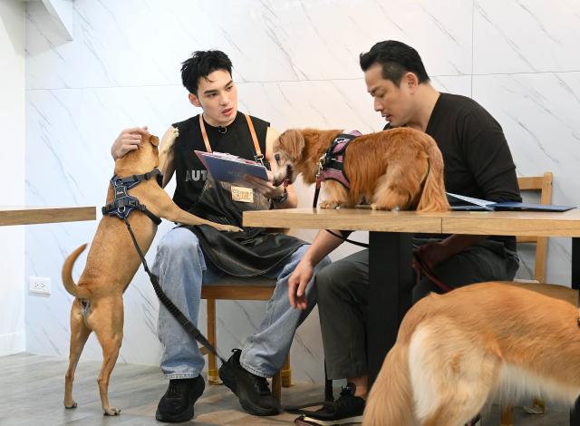 哈囉！毛小孩劇照 10