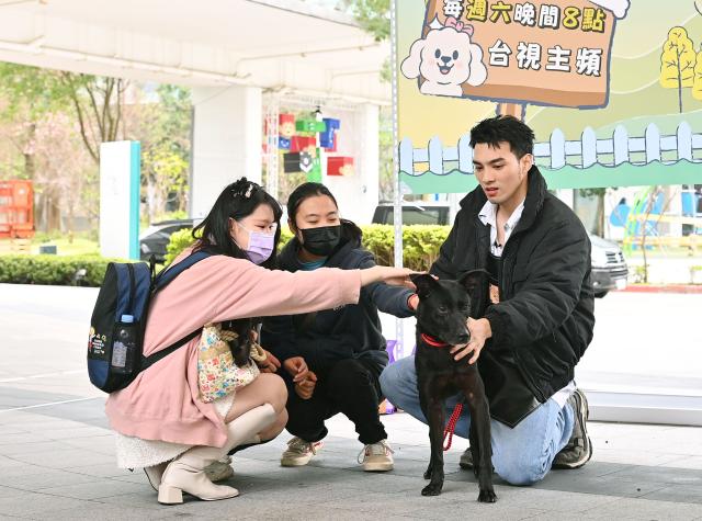 哈囉！毛小孩劇照 27