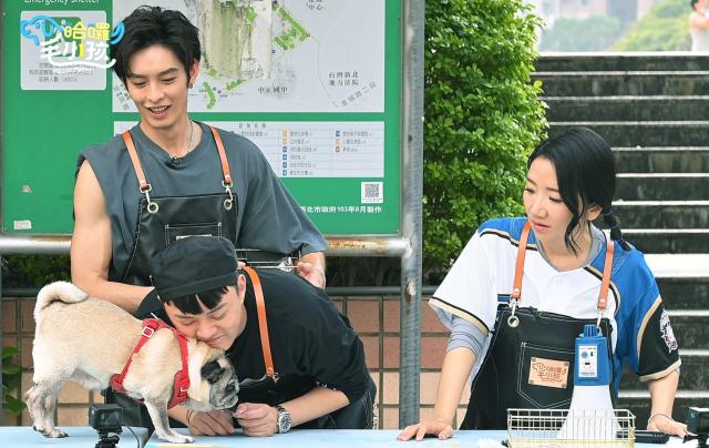 哈囉！毛小孩劇照 9