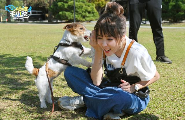 哈囉！毛小孩劇照 13