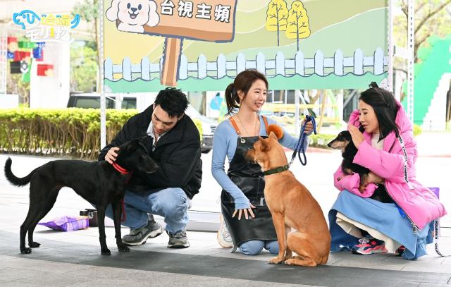 哈囉！毛小孩劇照 20