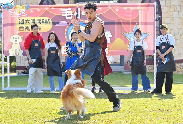 哈囉！毛小孩劇照 16