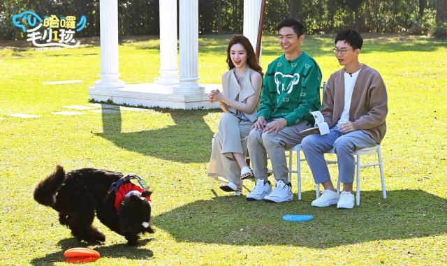 哈囉！毛小孩劇照 17