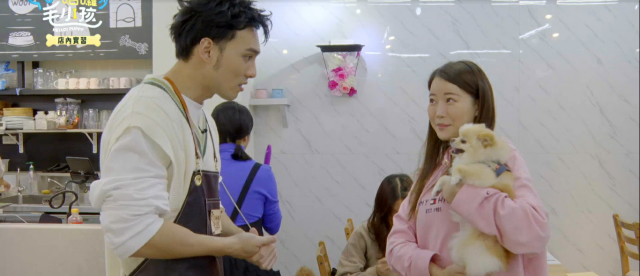 哈囉！毛小孩 線上看