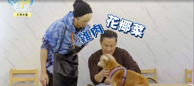 哈囉！毛小孩 線上看