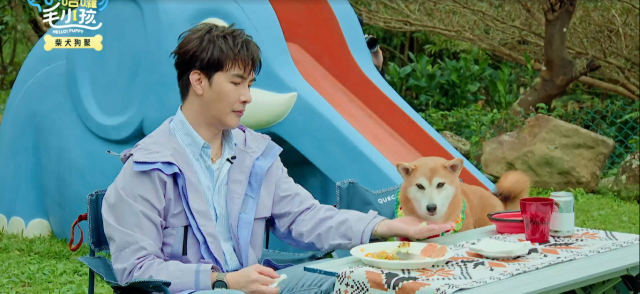 哈囉！毛小孩 線上看