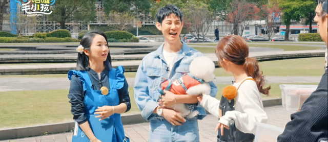 哈囉！毛小孩 線上看